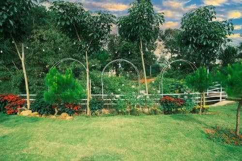 Villa with Garden View