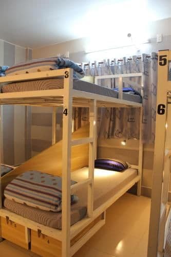 Bunk Bed in Mixed Dormitory Room