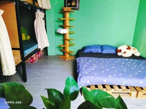 Homestay Gác Mơ Vũng Tàu Homestay Gác Mơ Vũng Tàu