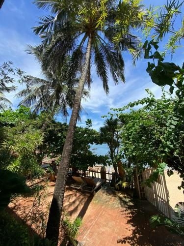 Haven Vietnam1