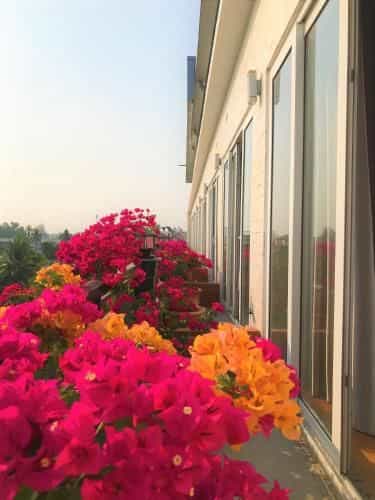 Anh Dao Mekong 2 Hotel Anh Dao Mekong 2 Hotel