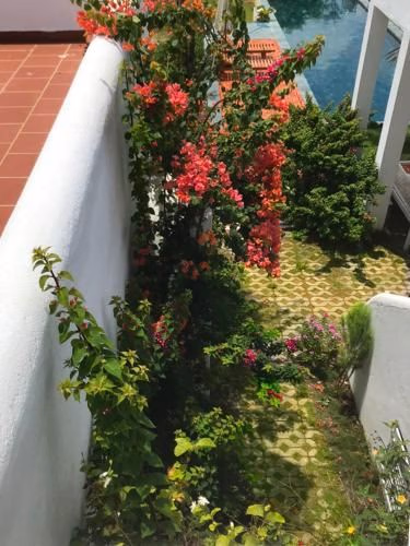 Hồ Lân Retreat, Villa mặt biển dành cho 8 người. (Ho Lan Retreat, Villa mat bien danh cho 8 nguoi.)3