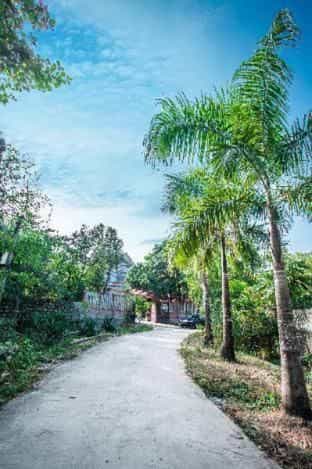 Ninh Binh Mountain View Homestay Ninh Binh Mountain View Homestay