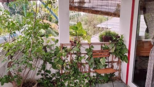 Double Room with Terrace