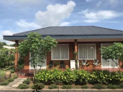 Huyen's Home Huyen's Home