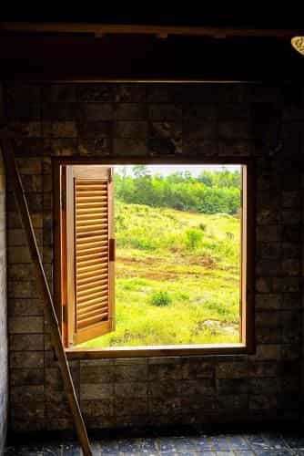 TODO Farm - Trang Trai Rau Huu Co TODO Farm - Trang Trai Rau Huu Co