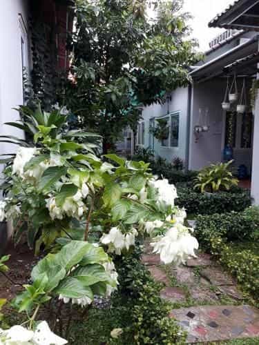 Manh Duyen Garden Homestay Manh Duyen Garden Homestay