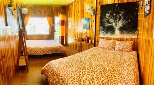 Dalat Moc Gia Vien Homestay Dalat Moc Gia Vien Homestay