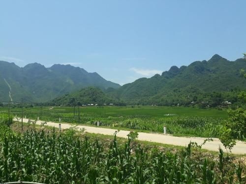 Truong Huy Homestay4