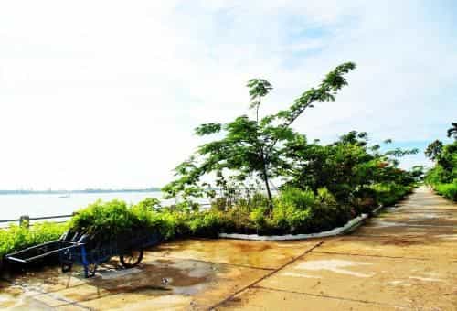 Flower & Frog Homestay Flower & Frog Homestay