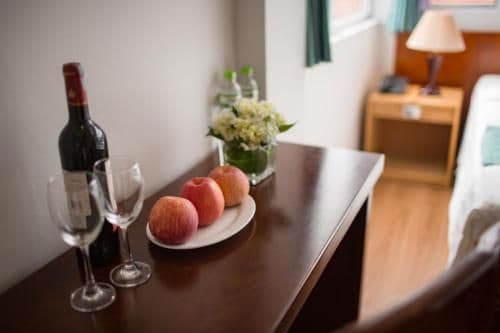 Deluxe Double or Twin Room with City View