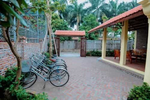 Tam Coc Golden Sky Homestay Tam Coc Golden Sky Homestay