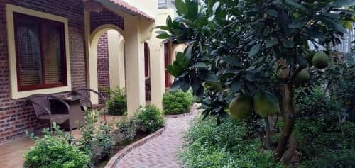 Deluxe Bungalow with Garden View