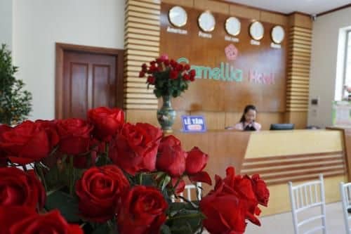 Camellia Hotel Camellia Hotel