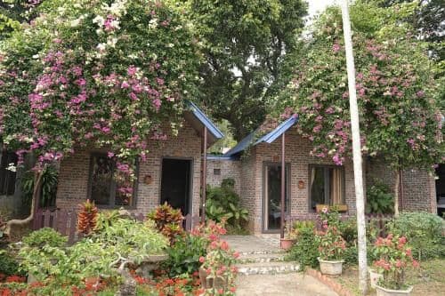 Standard Bungalow
