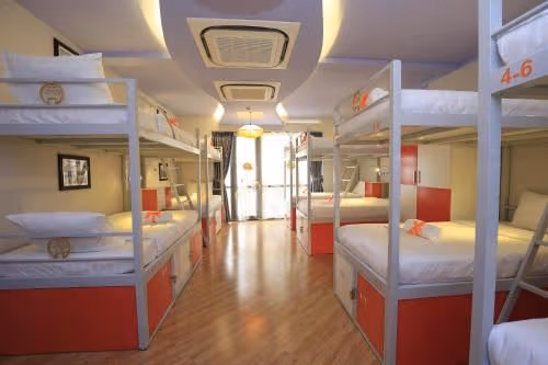 Bed in 10-Bed Mixed Dormitory Room