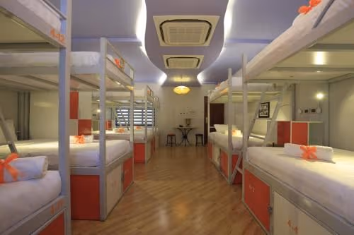Bed in 10-Bed Mixed Dormitory Room