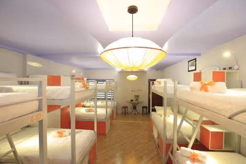Bed in 10-Bed Mixed Dormitory Room