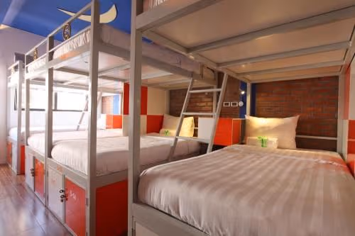 Bed in12-Bed Mixed Dormitory Room