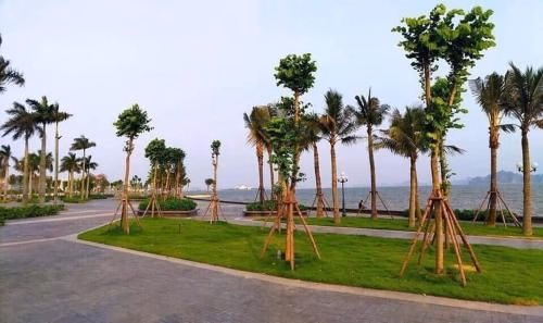 Sonny homestay Ha long- Biet thu lien ke 5 phong ngu trung tam KDL Bai Chay phu hop voi gia dinh hoac nhom ban tre tren 12 nguoi2