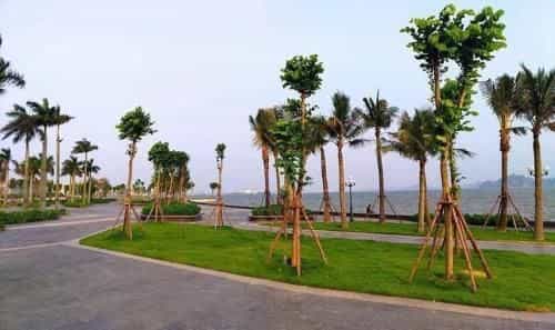 Sonny homestay Ha long- Biet thu lien ke 5 phong ngu trung tam KDL Bai Chay phu hop voi gia dinh hoac nhom ban tre tren 12 nguoi Sonny homestay Ha long- Biet thu lien ke 5 phong ngu trung tam KDL Bai Chay phu hop voi gia dinh hoac nhom ban tre tren 12 nguoi