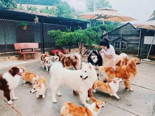 Vy Ngoc Homestay Vy Ngoc Homestay
