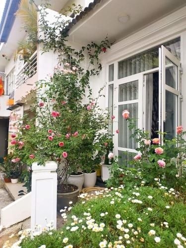 Pretty House0