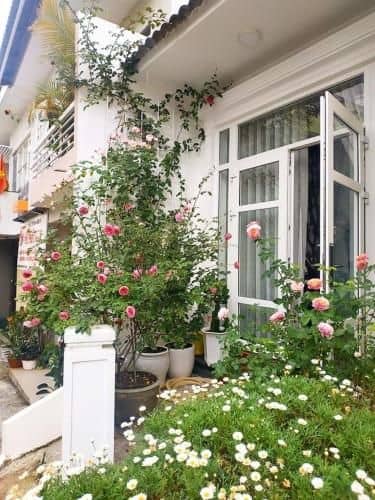 Pretty House Pretty House