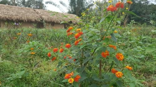 Luong Son Homestay Ecolodge2
