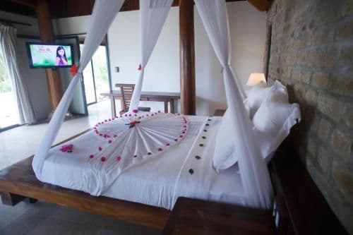 Double Room with Pool View