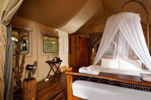 Tent with Lake View