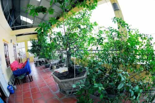 Binh Minh Hotel Binh Minh Hotel