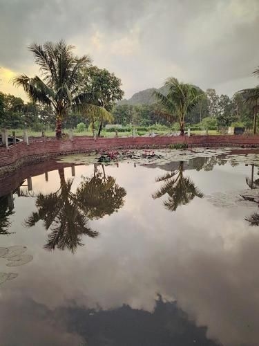 แทม ก๊อก กรีน การ์เดน บังกะโล (Tam Coc Green Garden Bungalow)3