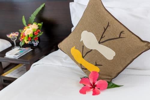 Deluxe Double Room with Pool View