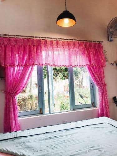 King Room with Garden View