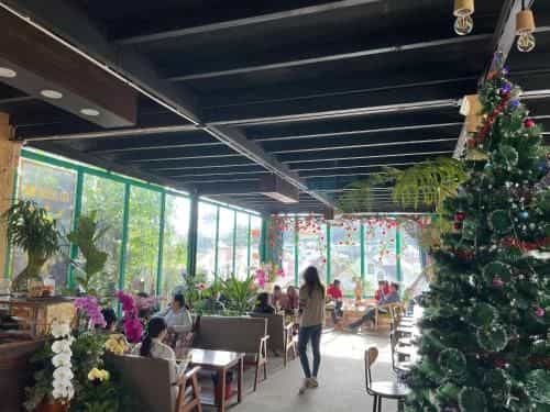 Homestay Khu Vuon Hoang Gia Homestay Khu Vuon Hoang Gia
