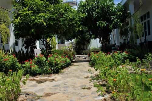 Doi Dua Homestay Doi Dua Homestay