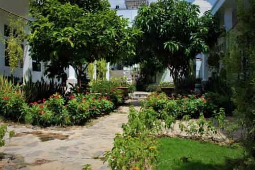 Doi Dua Homestay Doi Dua Homestay