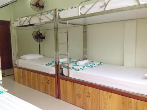 Bunk Bed in Mixed Dormitory Room