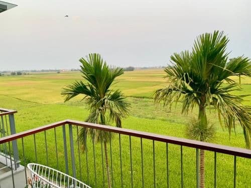 Grand Deluxe Double Room Rice field View