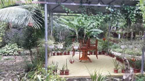 Homestay Lan Rung Homestay Lan Rung