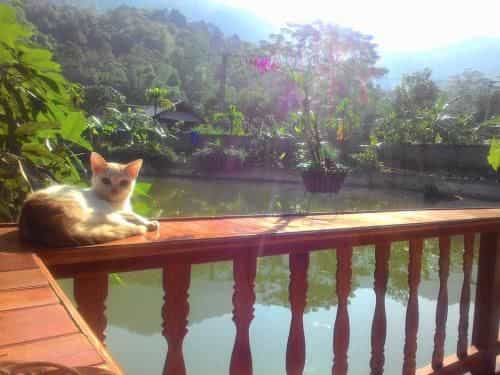 Homestay Bui Ty Ha Giang Homestay Bui Ty Ha Giang