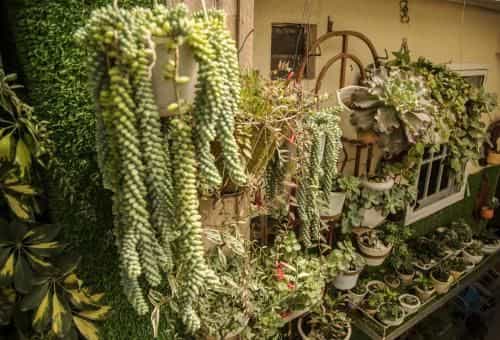 Nhà của Người và Ta Nhà của Người và Ta