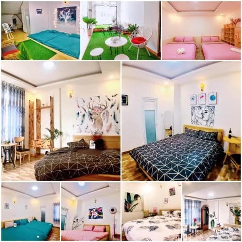 Starlight homestay ánh sao Starlight homestay ánh sao