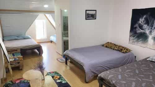 Starlight homestay ánh sao Starlight homestay ánh sao