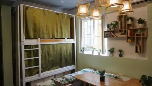 Bunk Bed in Mixed Dormitory Room