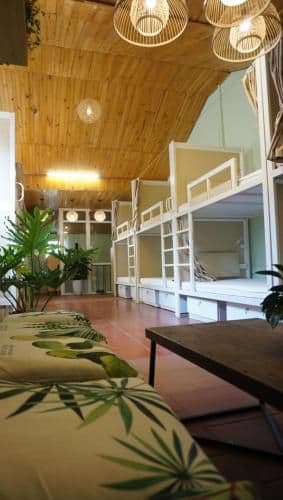 Bunk Bed in Mixed Dormitory Room
