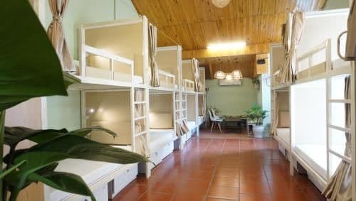 Bunk Bed in Mixed Dormitory Room