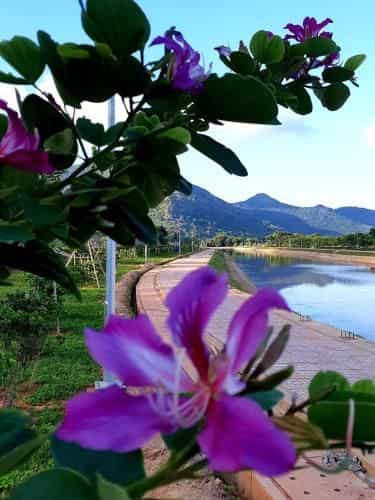 Khach san Phuc Loc An Con Dao Khach san Phuc Loc An Con Dao