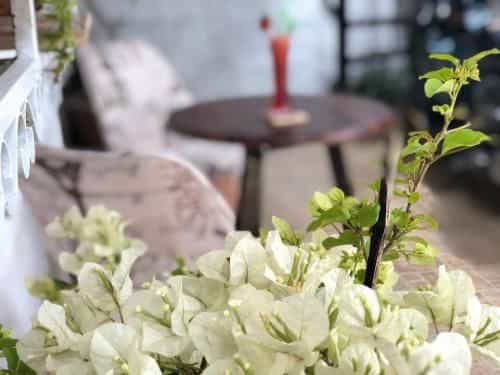 Doc May by YoloHotels Doc May by YoloHotels